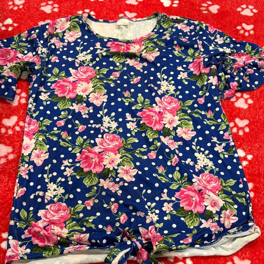 Floral Pink and Blue Women's Blouse